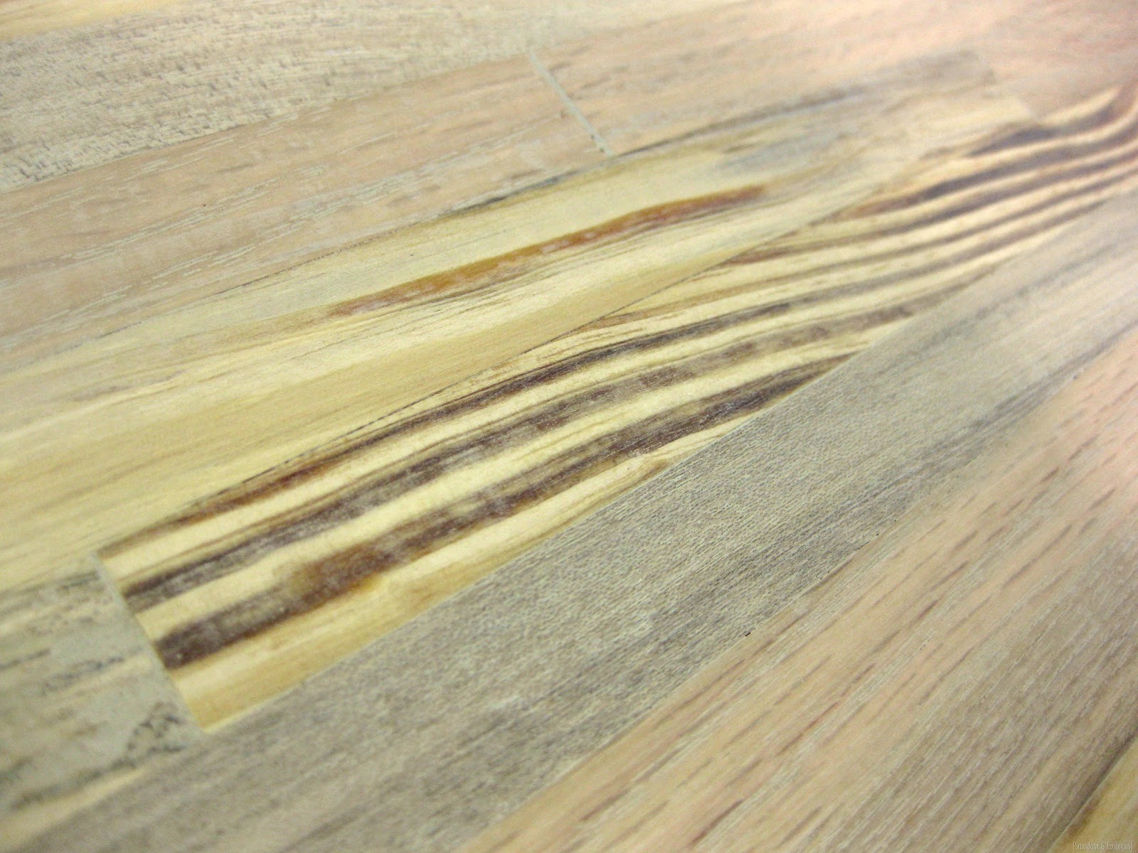 [IMG_0434%255B4%255D.jpg]