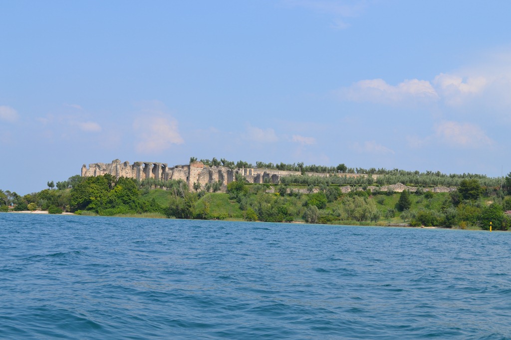 [DSC_16633.jpg]