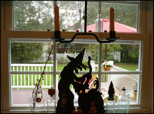 Fall 2011 006