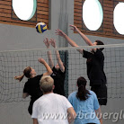 IMG_3517.jpg