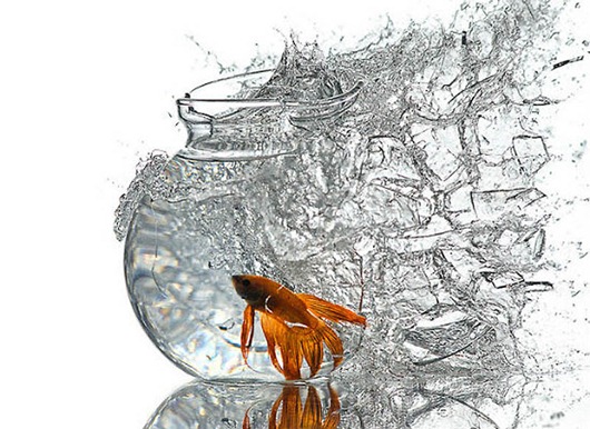 [clip_image001%255B1%255D%255B3%255D.jpg]