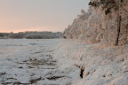 Teufelsmoor - Sonnenaufgang im November
