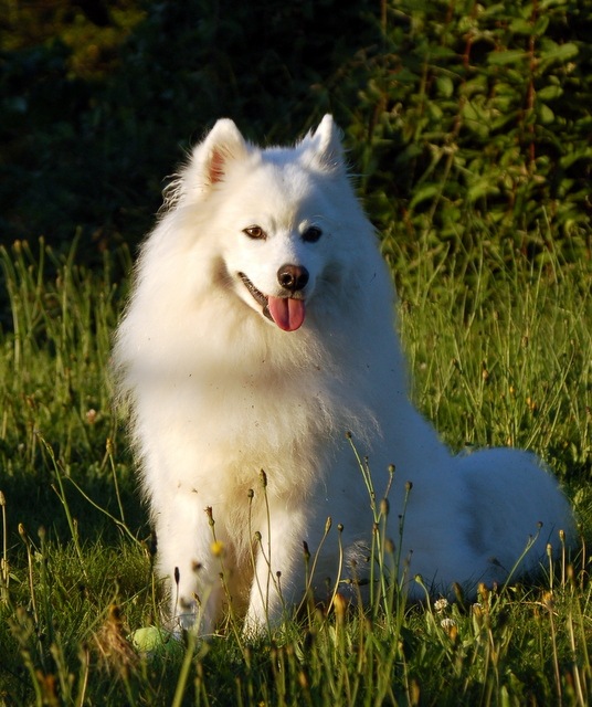 [DSC_6302%255B4%255D.jpg]