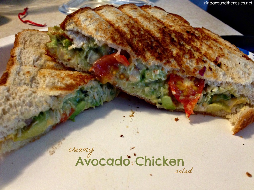 [avocado%2520chicken%2520salad%255B14%255D.jpg]