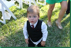 IMG_1794 IMG_1794