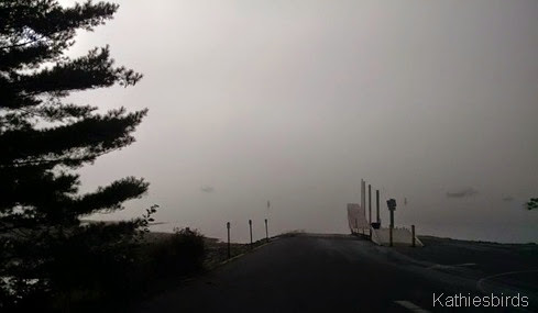 3. Morning fog at the dock