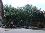 IMG00096-20090728-1314.jpg