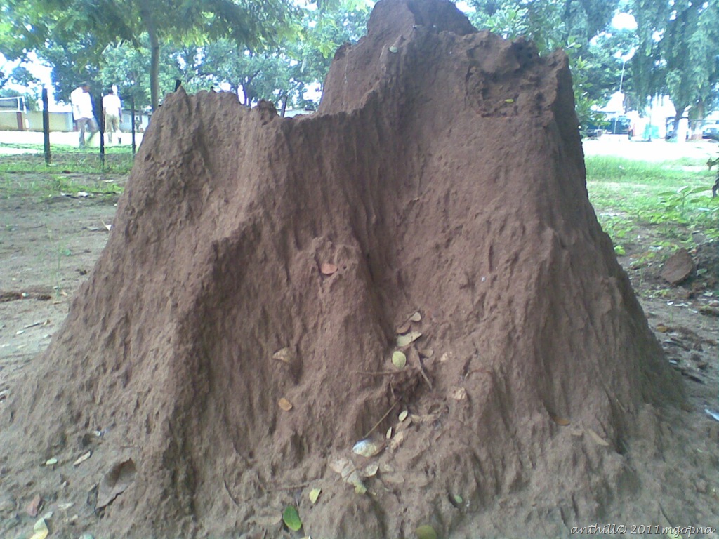[Image017%255B8%255D.jpg]