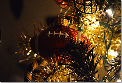 DSC_1125 DSC_1125