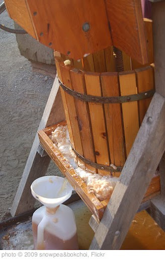 'RussellOrchards Juice' photo (c) 2009, snowpea&bokchoi - license: http://creativecommons.org/licenses/by/2.0/