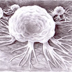 Celule canceroase, desen in creion - Cancer cells pencil drawing.jpg