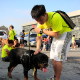 Pet Express Doggie Run 2012 Philippines. Jpg (260).JPG