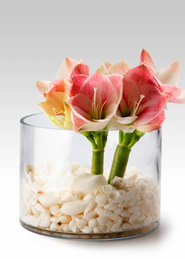 Glass cylinder.