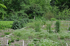 View of the gardens from the house