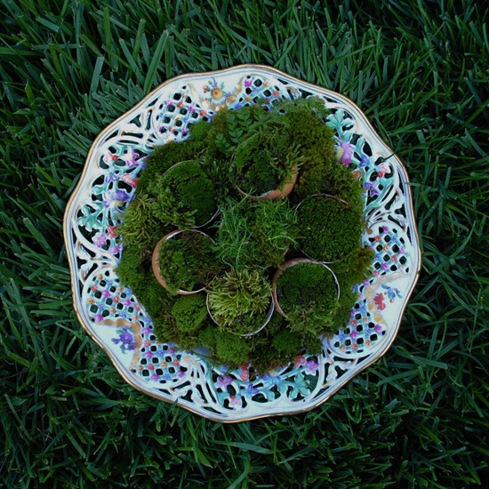 [Bluegrass%2520Easter%2520Basket%255B3%255D.jpg]