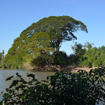 DSC_0772.JPG