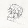 Hiss Hog Porkestra - Skull (2012)