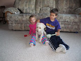 IMG_0089-4.JPG