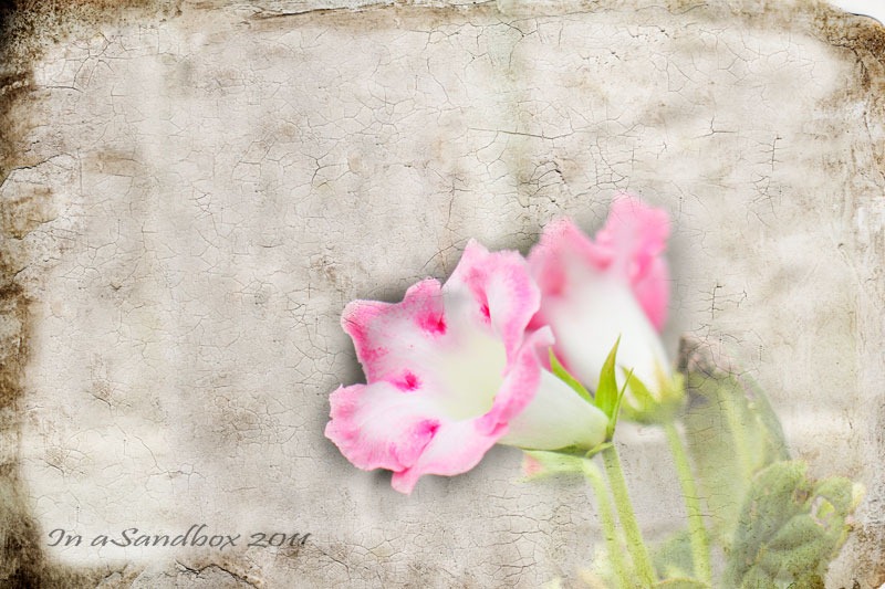 [Gloxinia-with-crackerjack-textureLR%255B12%255D.jpg]