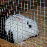 DSC_0484.JPG