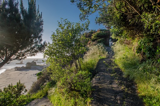 Rock Beach Trail at Harris Beach State Park