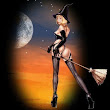 Sexy Witch On Broom
