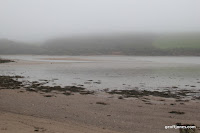 IMG_9278.JPG Photo