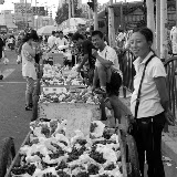 Shanghai - Marché poisson - Les étals dans la rue