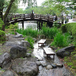 gorgeous little creek at Edo Wonderland in Nikko, Japan 