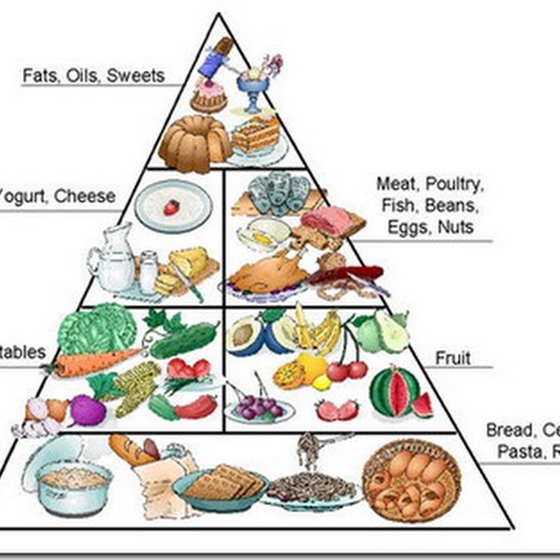 ¿Que pasa si comemos solo un tipo de alimento toda nuestra vida?