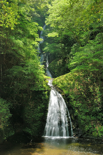 阿寺の七滝