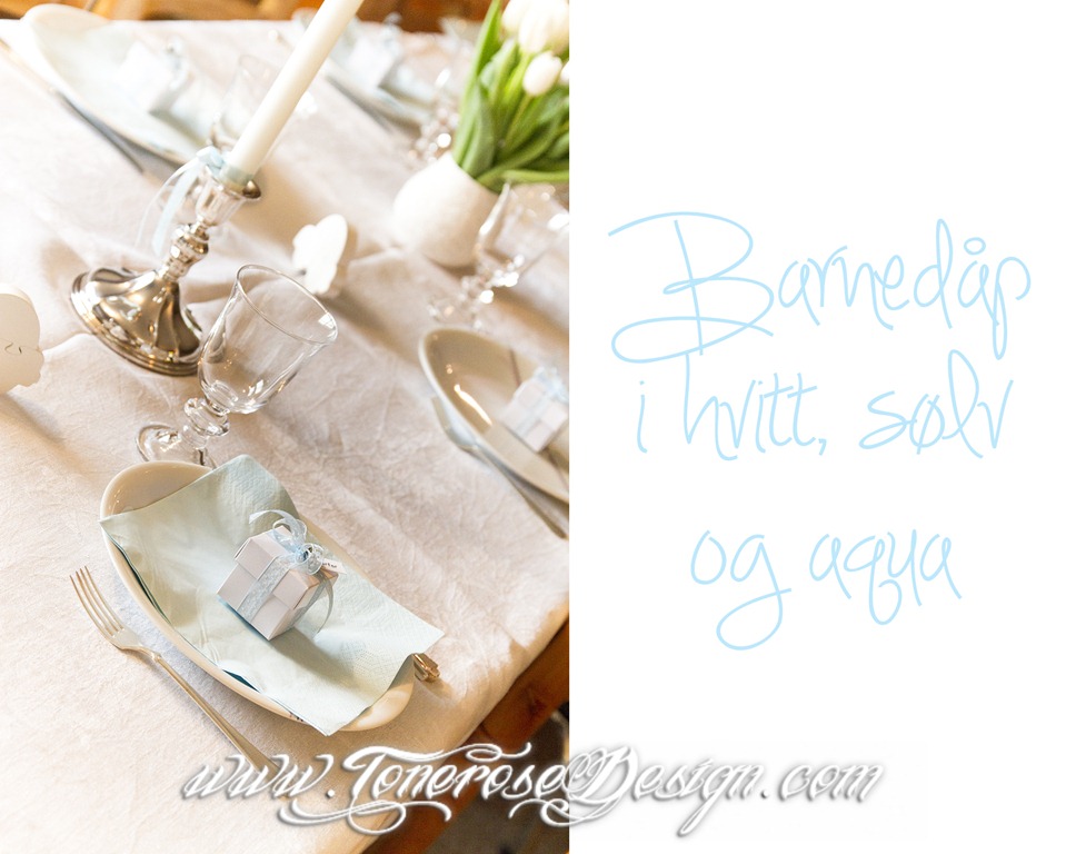 [IMG_8487%2520barned%25C3%25A5p%2520lysebl%25C3%25A5%255B1%255D.jpg]