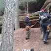 2013-03-31 14.18.12.jpg