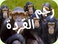 رجم القردة