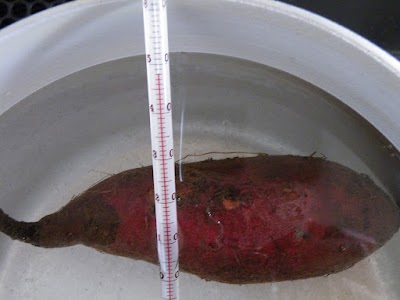 48度のお湯に40分つける 48度のお湯に40分つける