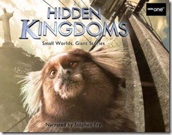 Hidden Kingdom 03 cover