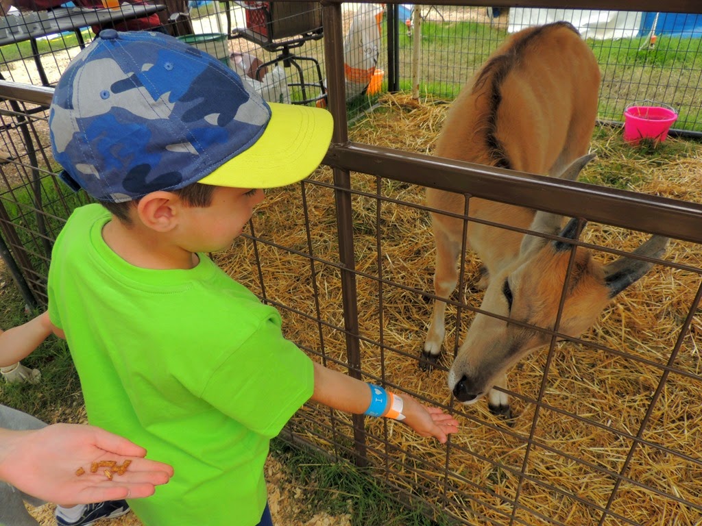 [DSCN9322%255B3%255D.jpg]