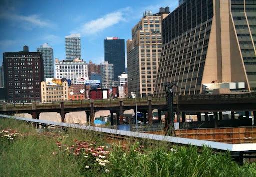 A view of uptown from the High Line.