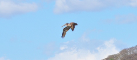 DSC_0328.jpg DSC 0328