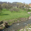 DSC00208.JPG
