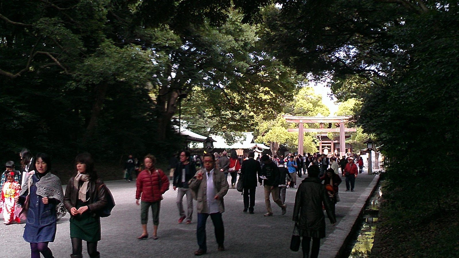 [IMAG0327%255B3%255D.jpg]