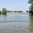 IMG_7782.JPG