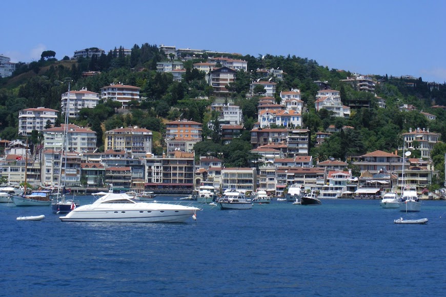 DSCF8519.JPG