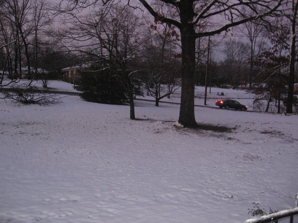 [IMG_3668%255B6%255D.jpg]