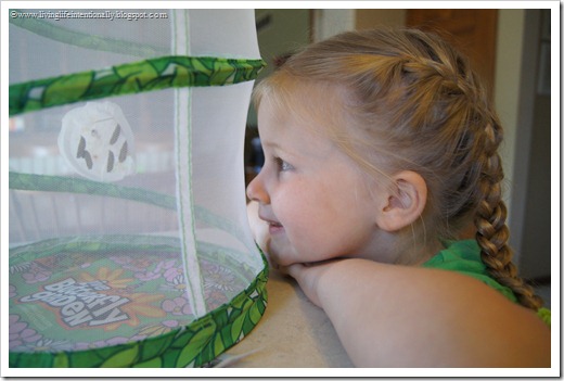 eagerly waiting for butterflies to come out eagerly waiting for butterflies to come out