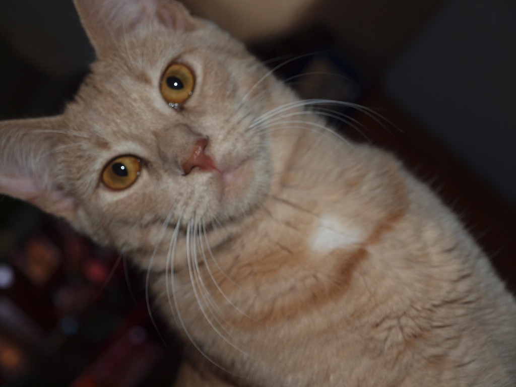 [PB231176%255B3%255D.jpg]