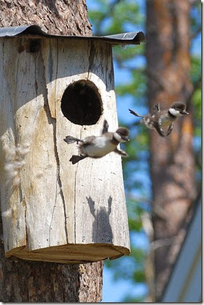 100_aweinspiring_photos_640_high_72 100_aweinspiring_photos_640_high_72