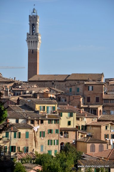 Siena