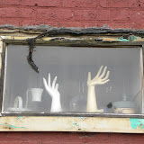 "Hands" - copyright David Thompson