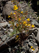 P8066905